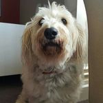 Helen Whitmore-Restall - @whitmorerestall - Instagram
