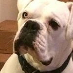 Helen Hudson Willmott - @hudsonwillmott - Instagram