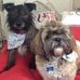 Helen Willmott - Facebook