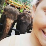 Helena Willmott - @helenawillmott - Instagram