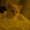 Helen Winchell - @helenwinchell_6686 - TikTok