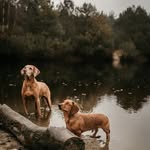Helen Winters - @helenwinters - Instagram