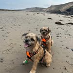 Helen Withers - @hels2503 - Instagram