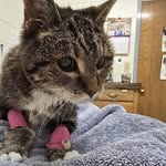 Helen Withers Rigdon - @helenr1228 - Instagram