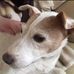 Helen Wright - Facebook
