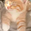 helenmariawright_2010655 - @helenmariawright_2010655 - TikTok
