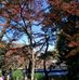 Helen Yip - Facebook