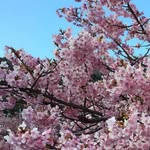 Helen Yip - @helen.yip.77964 - Instagram