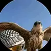 Helen Zarate - @helen_zarate_ - TikTok