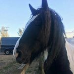 Helena barber - @helena_barber.123 - Instagram