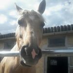 Helena Bender - @bender3522 - Instagram