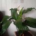 Maria Helena Bender - Facebook