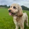 Helen Burt - @helenburt05 - TikTok