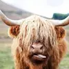 Helena - @helenacook22 - TikTok