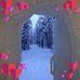 Helena Cunningham - Facebook