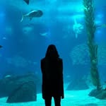 Helena Hunter - @_helena_hunter - Instagram