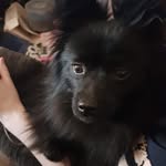 Helena Johnston - @helena.johnston.357622 - Instagram