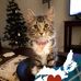 Helena Kaiser - Facebook