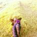 Helene Key - Facebook