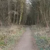 sophiawhelan - @helenalarkin - TikTok