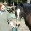 Helena Larsson - @helena.larsson2 - TikTok