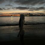 Helena - @helena.lemay - Instagram
