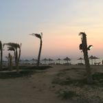 helena_xox - @helenalevy - Instagram