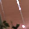 helena_lilly_ - @helena_lilly_ - TikTok