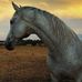Helena Marcus - Facebook