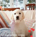 Helena Mares - @helenamares31 - Instagram