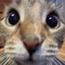 Helena May - Facebook