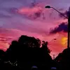 Helena Maynard - @helena.maynard - TikTok