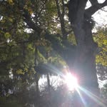 Helena Moon - @lightseeker347 - Instagram