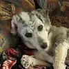 Helen Patrick - @helen.patrick75 - TikTok