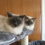 Helen Pepper - @hmp_78 - Instagram