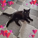 Helen Pepper - @helen.pepper - Instagram