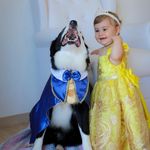 Maria Helena e Ringo - @helena.ringo - Instagram
