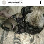helena rivera - @helenarivera2020 - Instagram