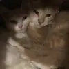 helenaroe859 - @helenaroe859 - TikTok