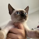 Helena - @helena_rothen_silveira - Instagram