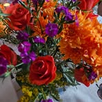 Helena Roth - Facebook
