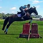 helena schulz - @cavalos.dhelena - Instagram