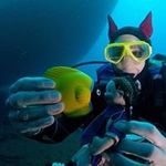 Helena Temple - @templehelena - Instagram