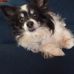 Helena Templeton Harber - Facebook
