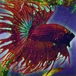 Helena Webb - @minizookeeper2021 - Instagram
