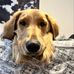 Helena Weeks - Facebook