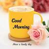 helena weeks - @helena.weeks - TikTok