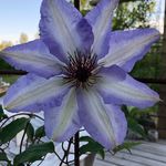 Helena Wester Karlsson - @helena_wk - Instagram