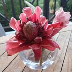 Hélène Abellard - @heleneabellard - Instagram