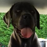 Anthony Hélène Cordon - @anthonyhelenecordon - Instagram